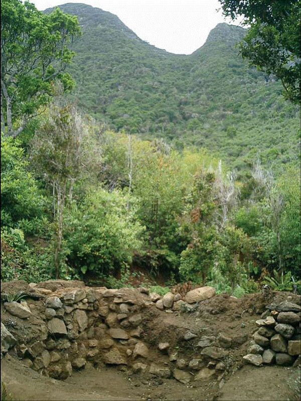 Место раскопок на острове Робинзона Крузо