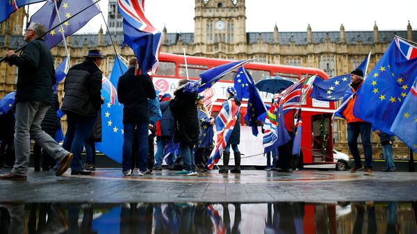 Противники выхода Великобритании из ЕС во время акции у здания парламента в Лондоне
