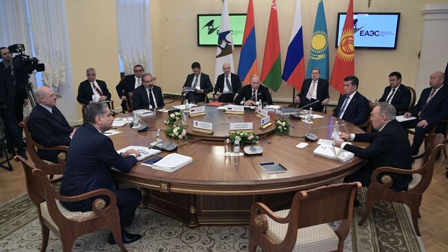 Президент РФ Владимир Путин на заседании Высшего Евразийского экономического совета в Санкт-Петербурге