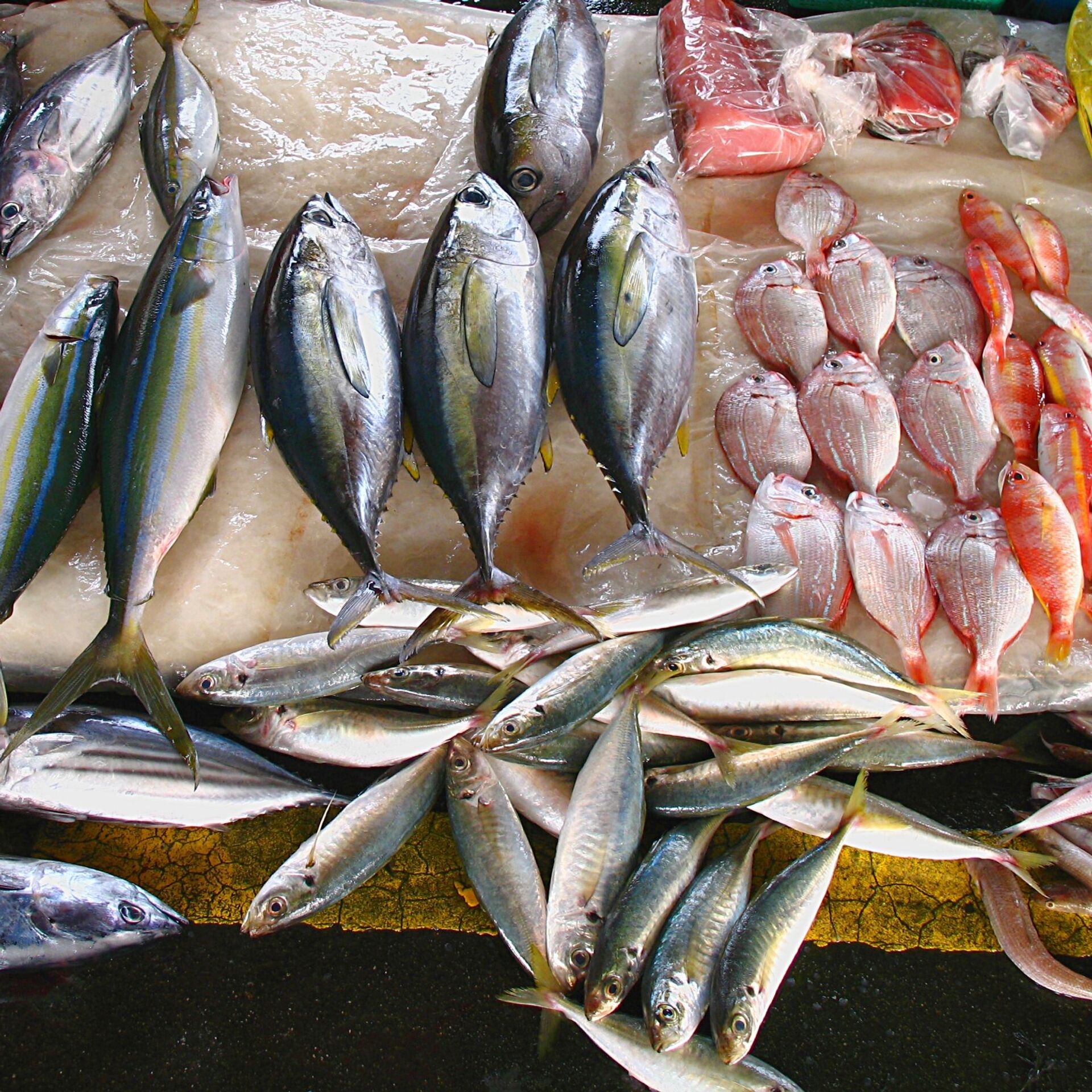Полезные свойства наиболее популярной в мире рыбы - лосося горячего копчения
