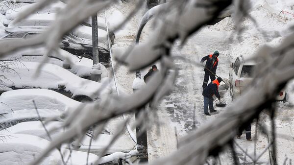 Сотрудники коммунальных служб убирают снег на дороге