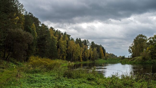 Река в Подмосковье