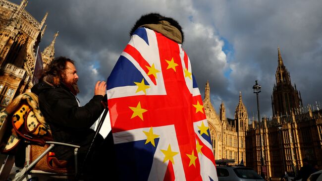 Противники Brexit у Вестминстерского дворца в Лондоне. 12 декабря 2018 