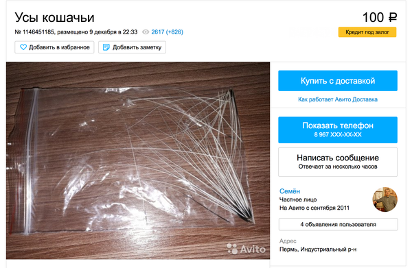 Зачем усы кошке