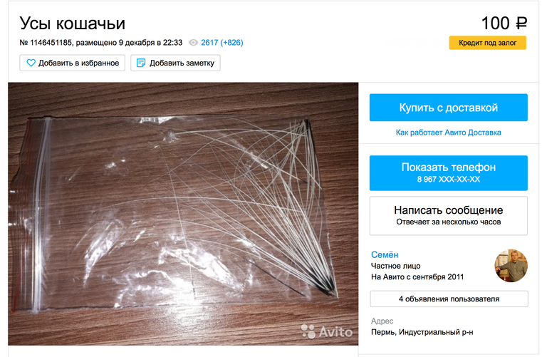 Объявление о продаже кошачьих усов на сайте Avito