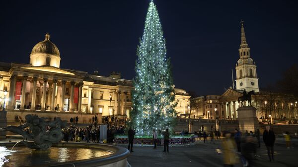Рождественская ель на Трафальгарской площади в Лондоне