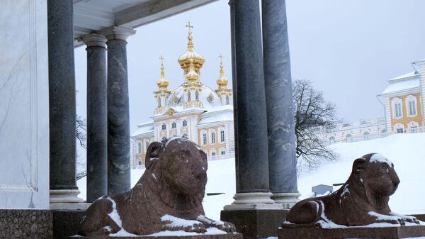 Скульптуры львов Воронихинских колоннад и музей Церковный корпус Большого Петергофского дворца 
