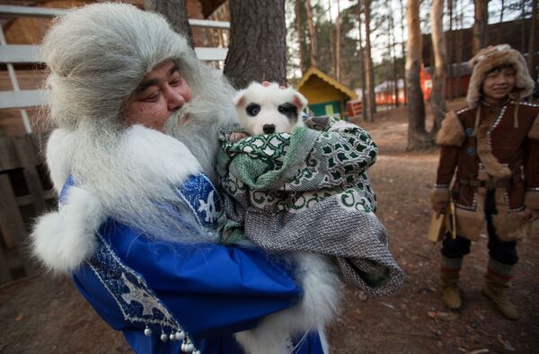 Ямал Ири из Салехарда несет щенка в подарок Деду Морозу во время празднования Дня рождения Деда Мороза в Великом Устюге