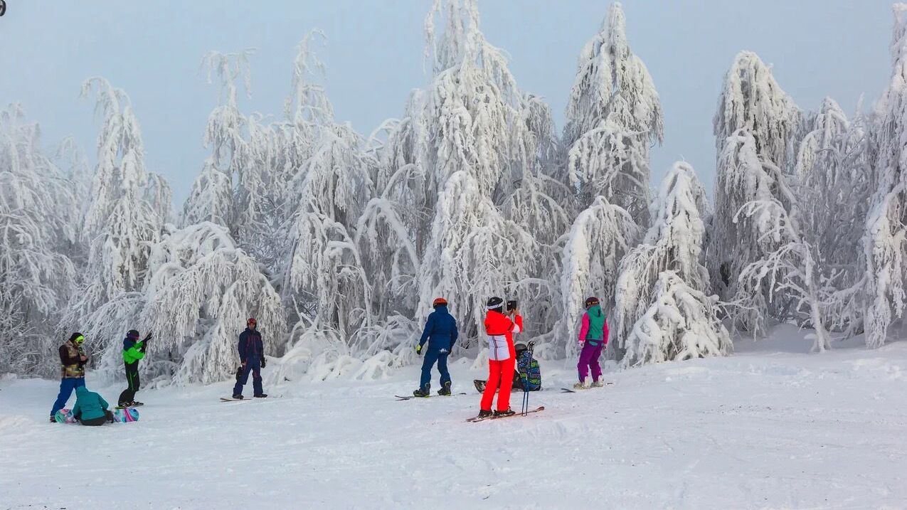 Курорт Губаха - РИА Новости, 1920, 27.12.2018