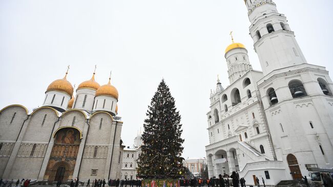 Украшенная новогодняя елка на Соборной площади Московского Кремля