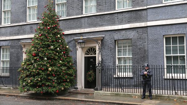 Рождественская елка на Даунинг-стрит в Лондоне