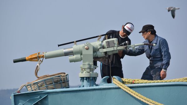 Экипаж китобойного судна проверяет оружие, Япония