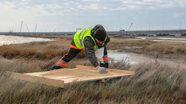 Экологи установили кормушки для птиц рядом с мостом через Керченский пролив