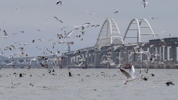 Птицы рядом с мостом через Керченский пролив