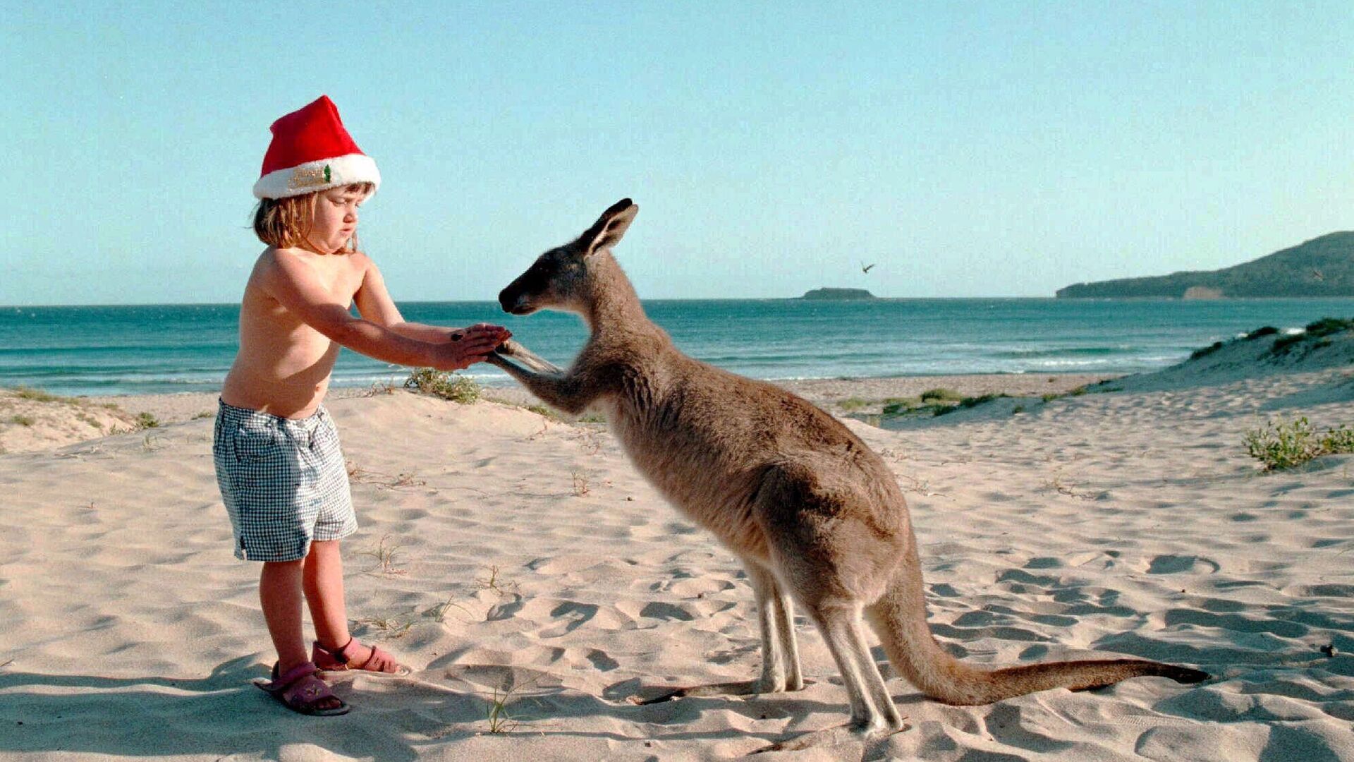 Девочка с кенгуру на пляже к югу от Сиднея, Австралия - РИА Новости, 1920, 06.12.2019