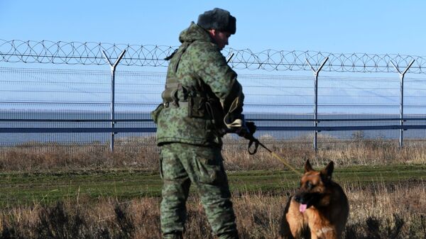 Российский пограничник со служебной собакой у заграждения, возведенного в Крыму на границе с Украиной