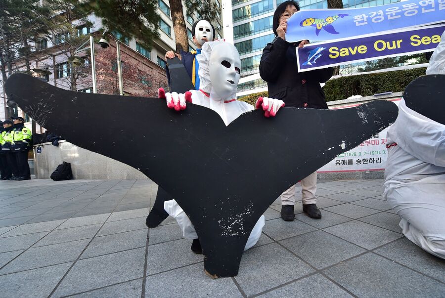 Акция протеста против японского китобойного промысла напротив посольства Японии в Сеуле 
