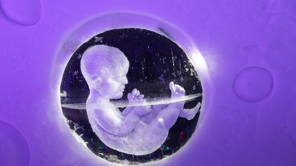 Ледяная скульптура Эмбрион