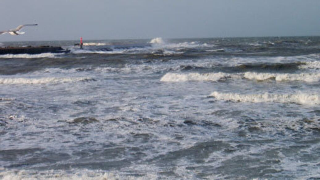 Неизвестные БПЛА сопровождали немецкое полицейское судно, пишет Spiegel