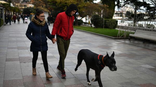 Молодые люди гуляют с собакой в Ялте