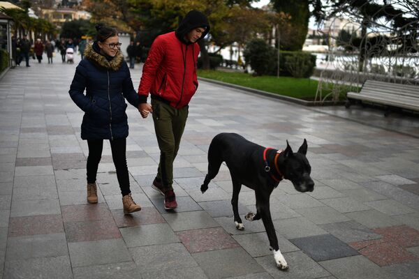 Молодые люди гуляют с собакой в Ялте