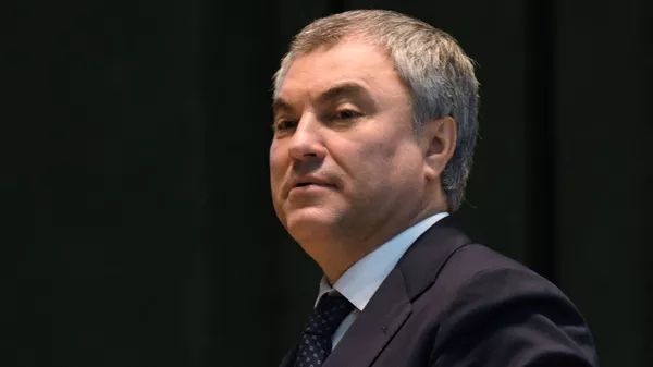 Председатель Государственной Думы РФ Вячеслав Володин на заседании, посвященном 297-й годовщине образования российской прокуратуры. 11 января 2019