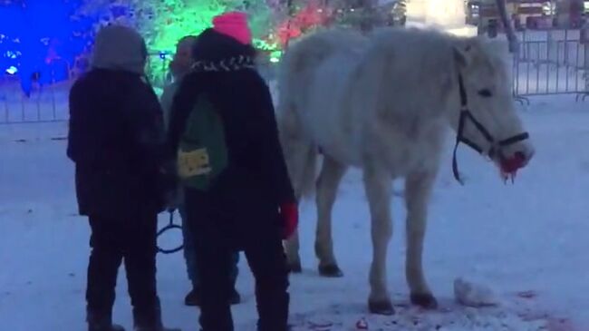 Скриншот с видео Станислава Андреева.