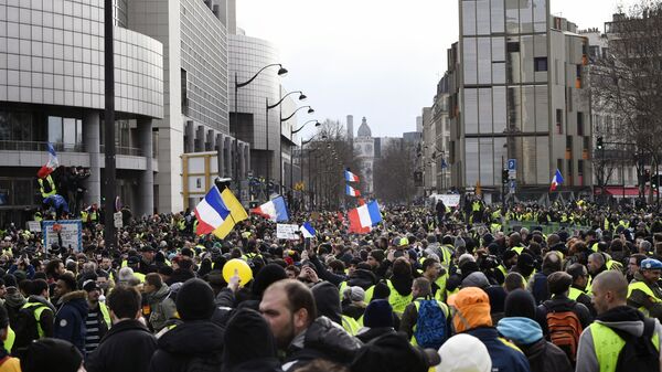 Участники протестной акции жёлтых жилетов в Париже. 12 января 2019