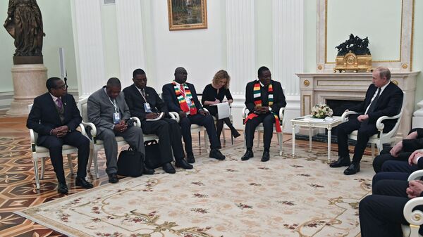  Владимир Путин и президент Республики Зимбабве Эммерсон Мнангагва во время встречи. 15 января 2019