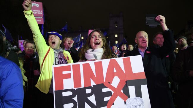 Участники акции против Brexit у здания парламента Великобритании в Лондоне. 15 января 2019