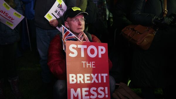 Участник акции против Brexit у здания парламента Великобритании в Лондоне. 15 января 2019