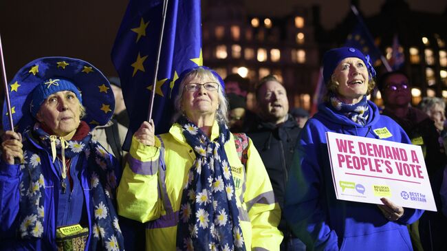 Участники акции против Brexit у здания парламента Великобритании в Лондоне. 15 января 2019