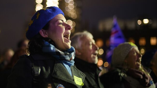 Участники акции против Brexit у здания парламента Великобритании в Лондоне. 15 января 2019