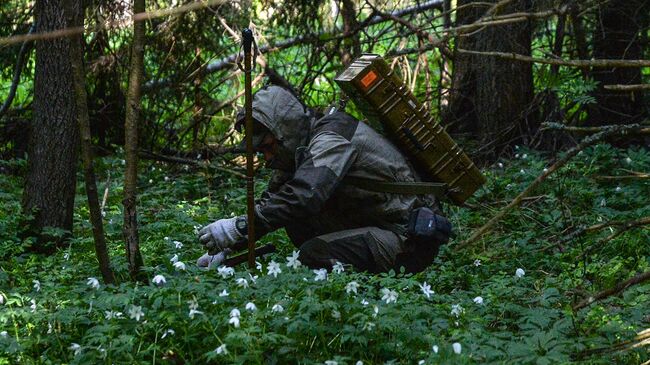 Поисковики установили личность бойца, обнаруженного в Тверской области