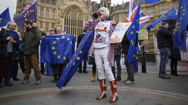 Участники акции против Brexit у здания парламента Великобритании в Лондоне. 15 января 2019