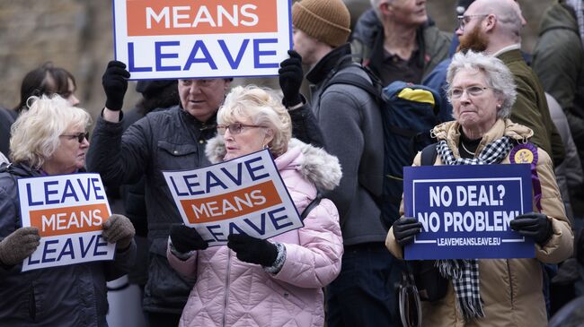 Участники акции против Brexit у здания парламента Великобритании в Лондоне. 15 января 2019