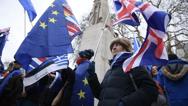 Участники акции против Brexit у здания парламента Великобритании в Лондоне. 15 января 2019