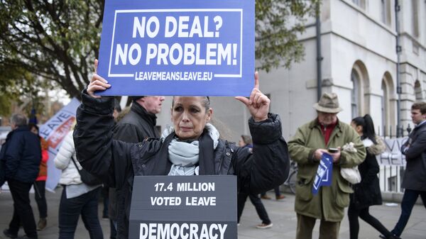 Участница акции против Brexit у здания парламента Великобритании в Лондоне. 15 января 2019