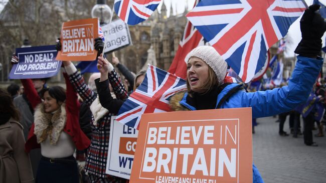 Участники акции против Brexit у здания парламента Великобритании в Лондоне.  15 января 2019