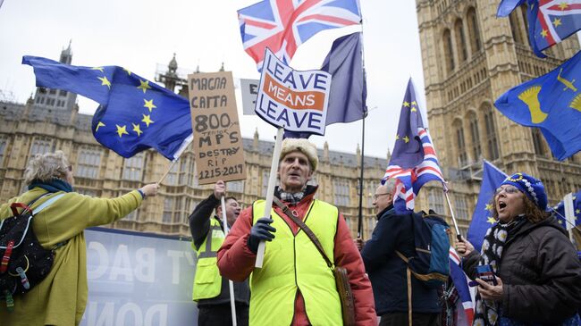 Участники акции против Brexit у здания парламента Великобритании в Лондоне