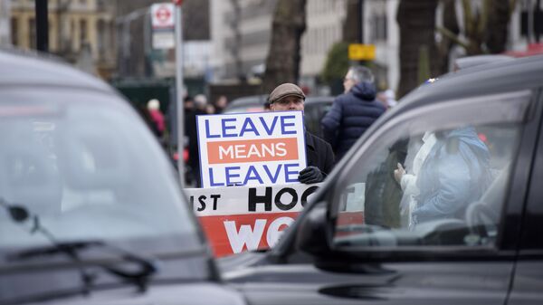 Участник акции против Brexit у здания парламента Великобритании в Лондоне.