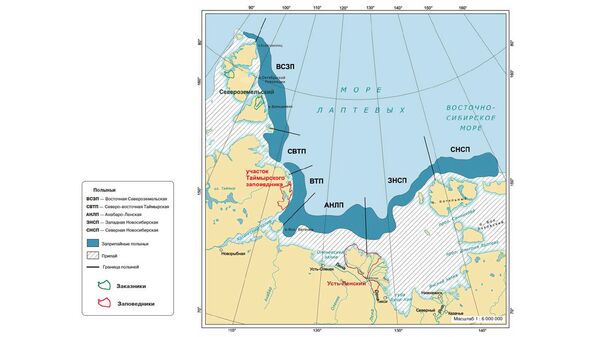 Великая Сибирская полынья Великая Сибирская полынья