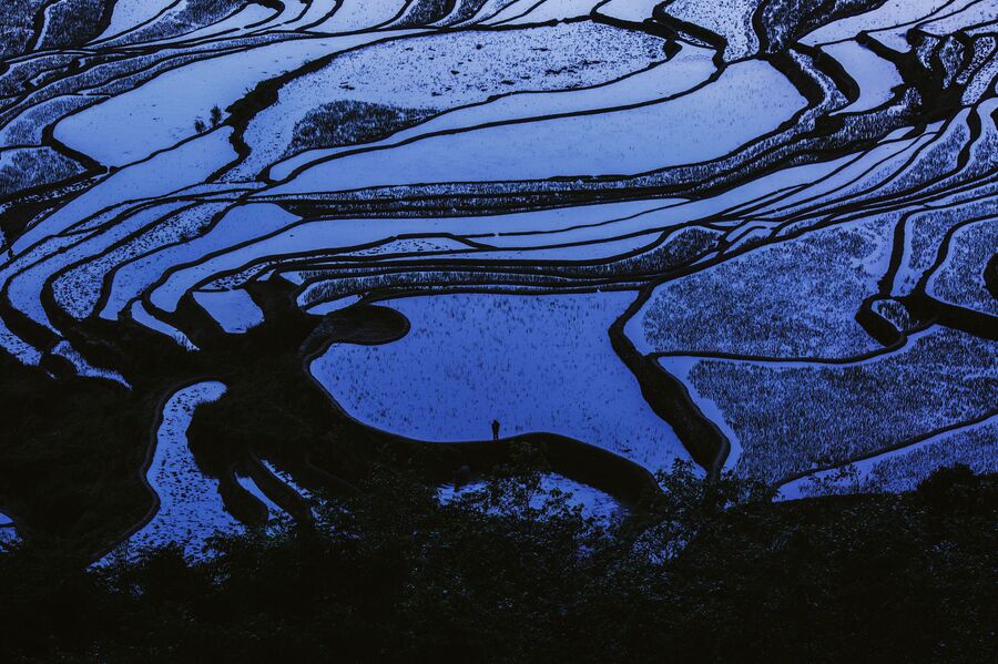 Китай, Рисовые поля рисовые поля в провинции Юньнань