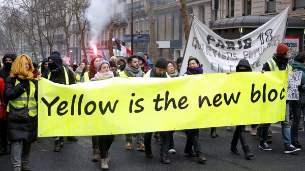 Протестующие в желтых жилетах в Париже, Франция. 19 января 2019