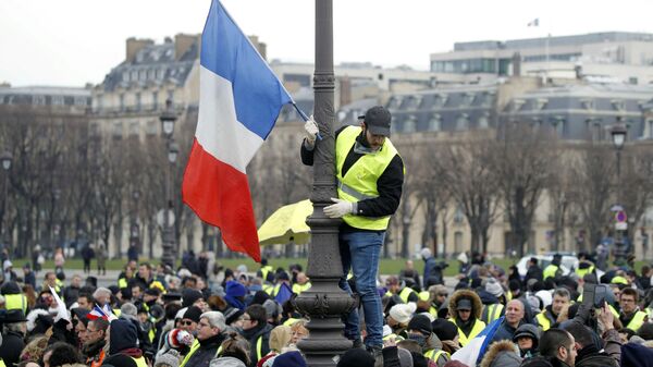 Участники протестной акции жёлтых жилетов в Париже. 19 января 2019 