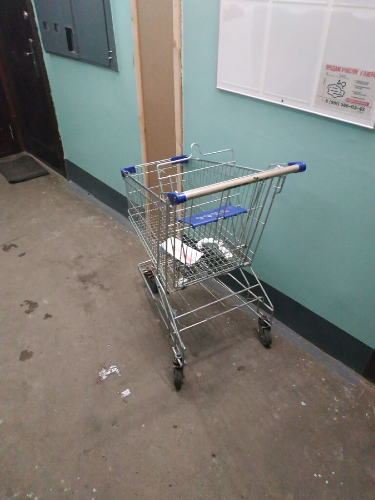 Тележка, из-за которой произошел конфликт