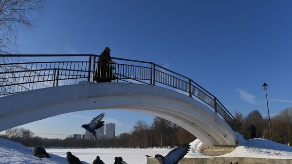 Женщина на мосту в одном из паркев Москвы