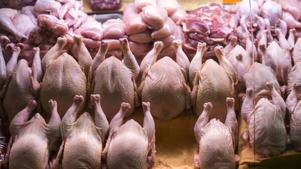 Россия получила право поставок мяса птицы в Алжир