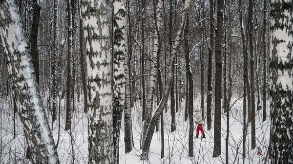 Женщина катается на лыжах в лесу
