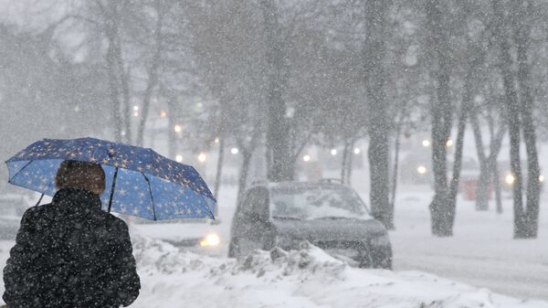 Прохожая во время снегопада на Ленинском проспекте в Москве